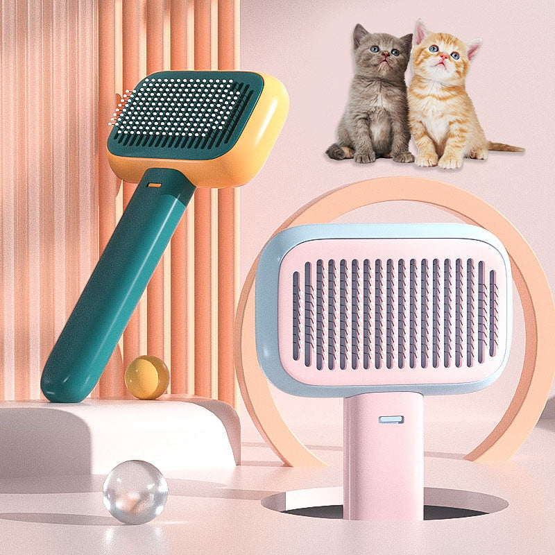 Grooming Essentials