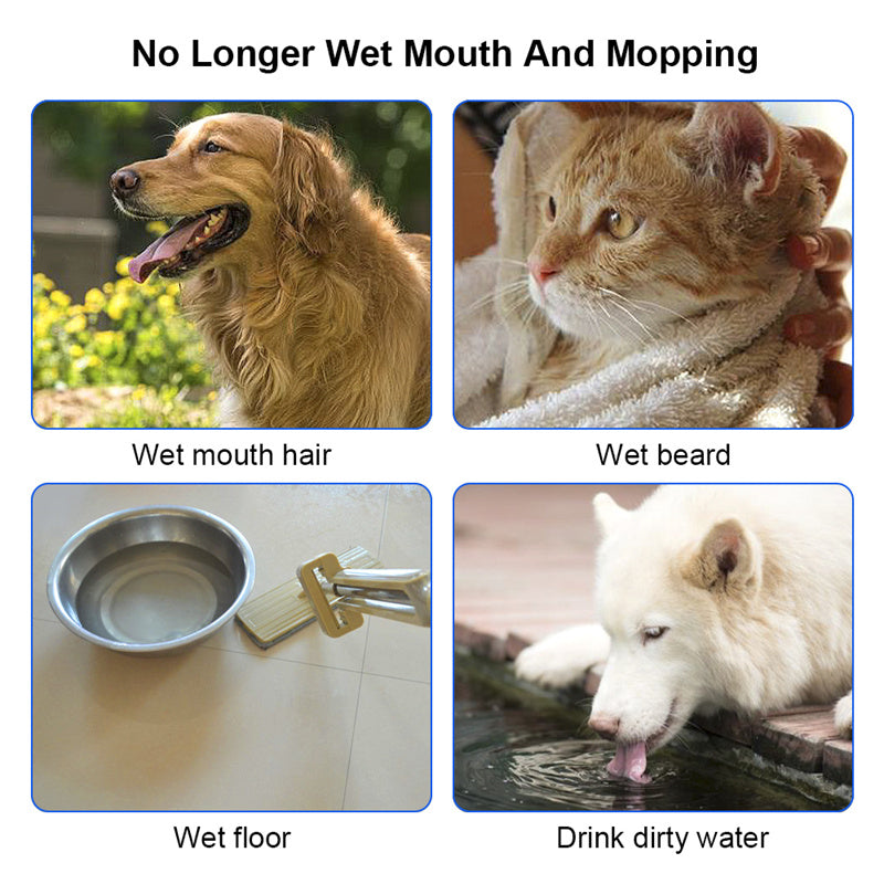 Portable Pet Water Bowl | 1.5L Slow Feeder for Cats & Dogs