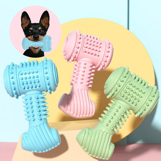 Dog Dental Chew Toy | Indestructible TPR Teething Toy