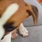 1.mp4