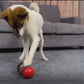 1.mp4